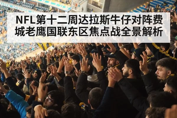 football fans cheering stadium